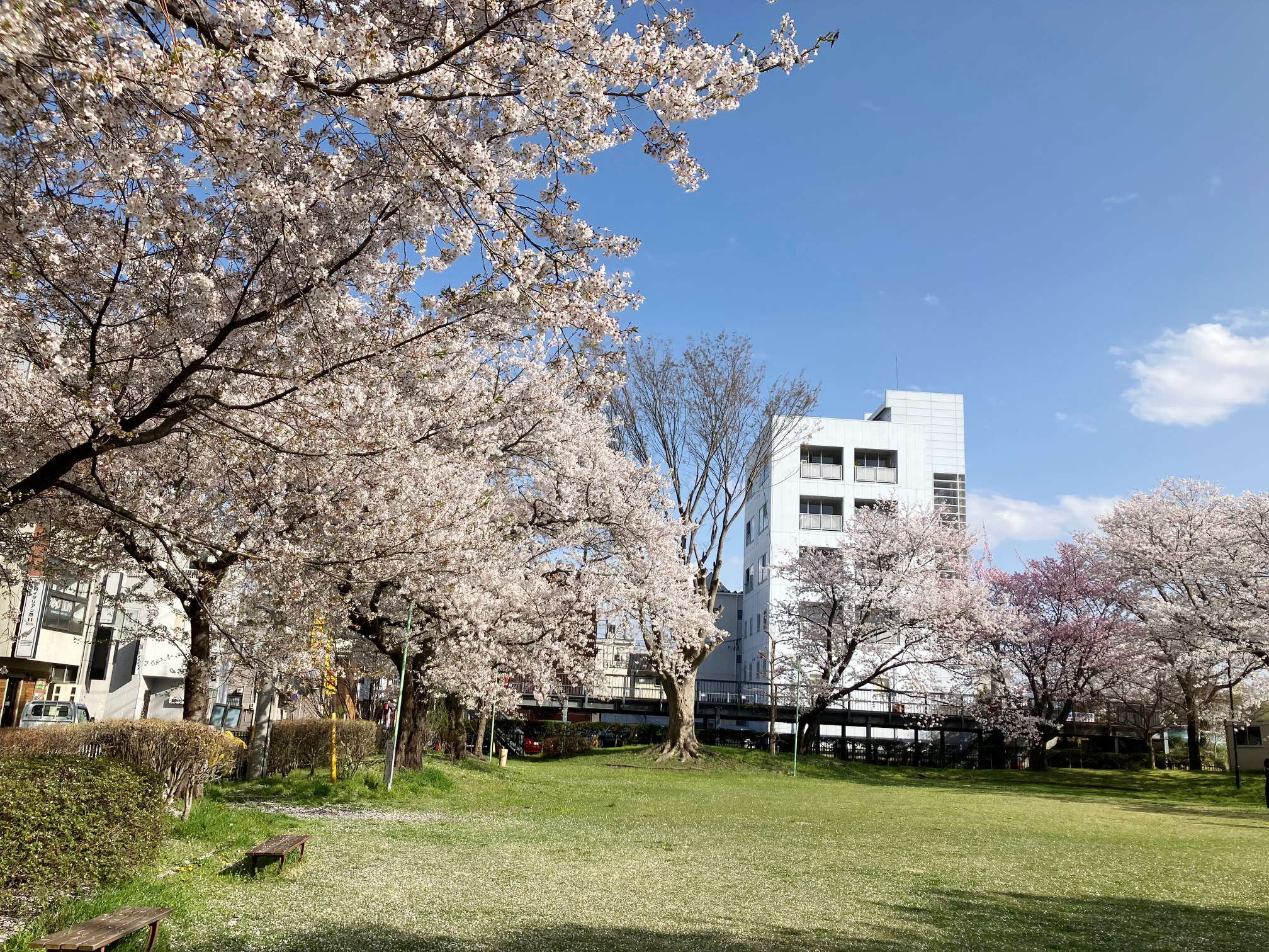 成田公園